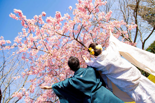 北九州・下関で最高の桜ロケを見つけよう!