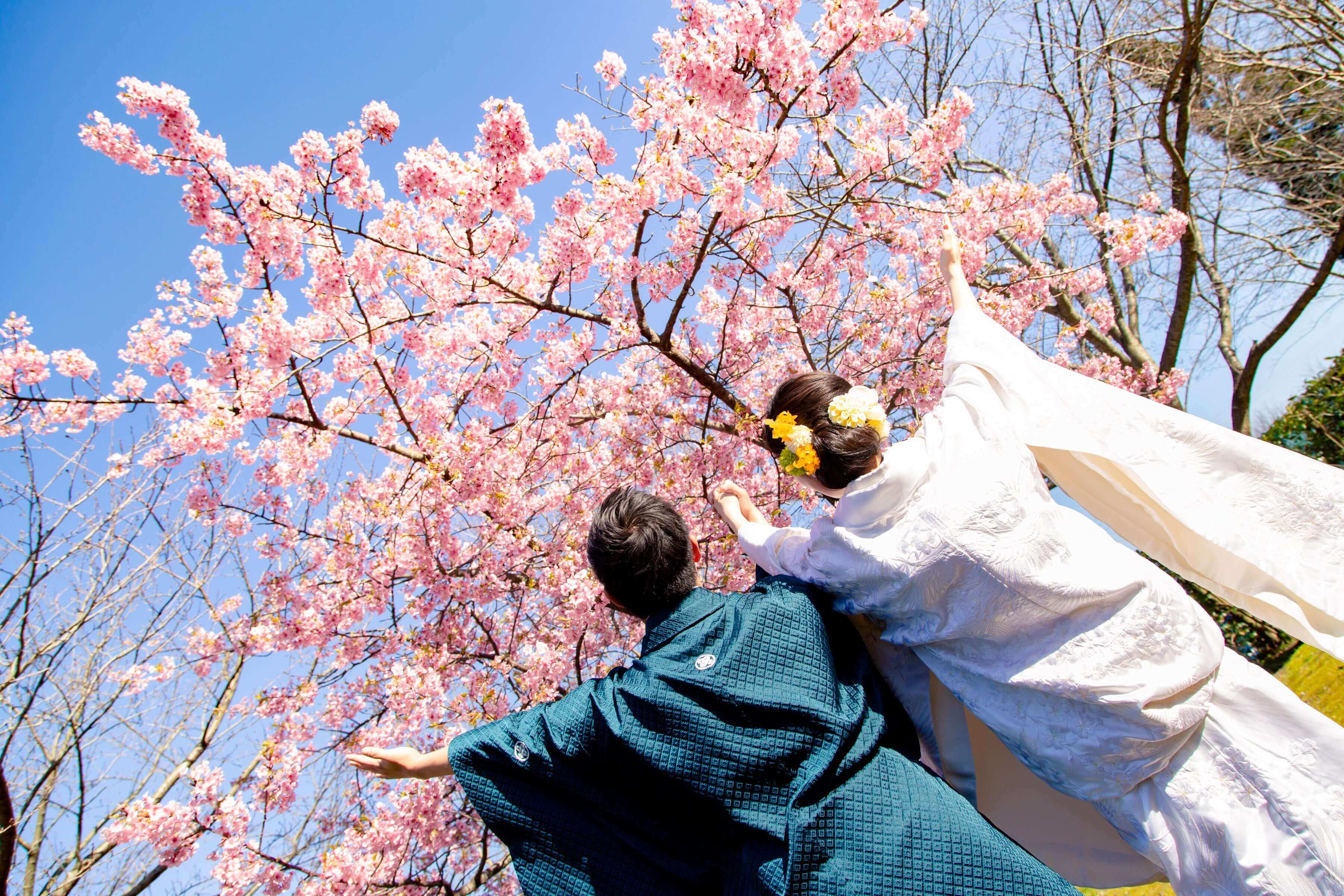 北九州・下関で最高の桜ロケを見つけよう！