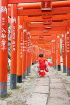 北九州下関でフォトウェディング・前撮り結婚写真のおすすめ人気ウエディングフォトスタジオ和装も洋装もロケも人気ウエディングドレスもかわいい