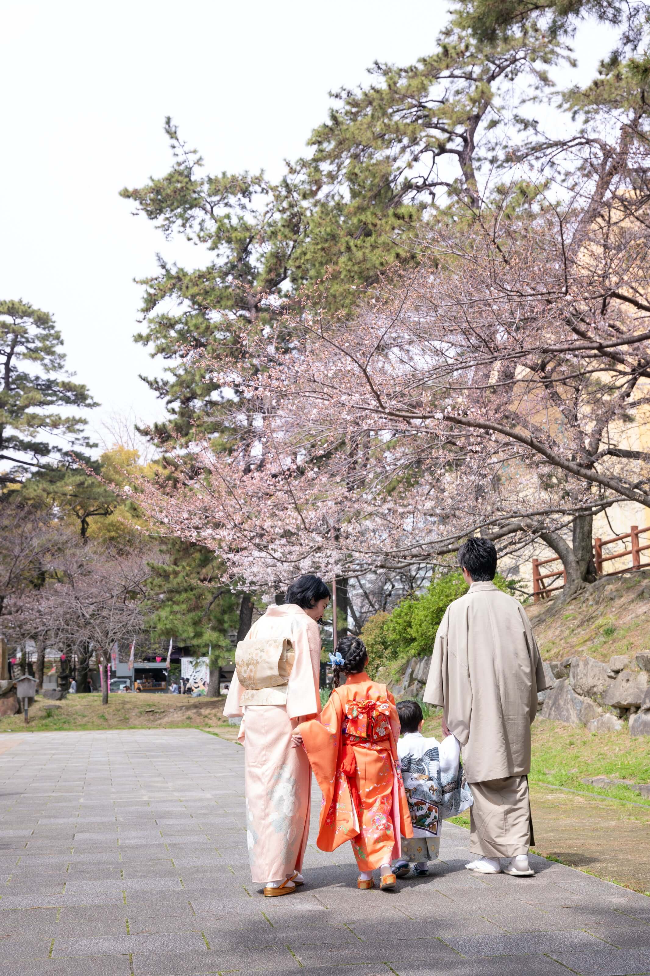 家族が七五三を祝うために桜の下を歩く様子。北九州のフォトウエディングシーン。